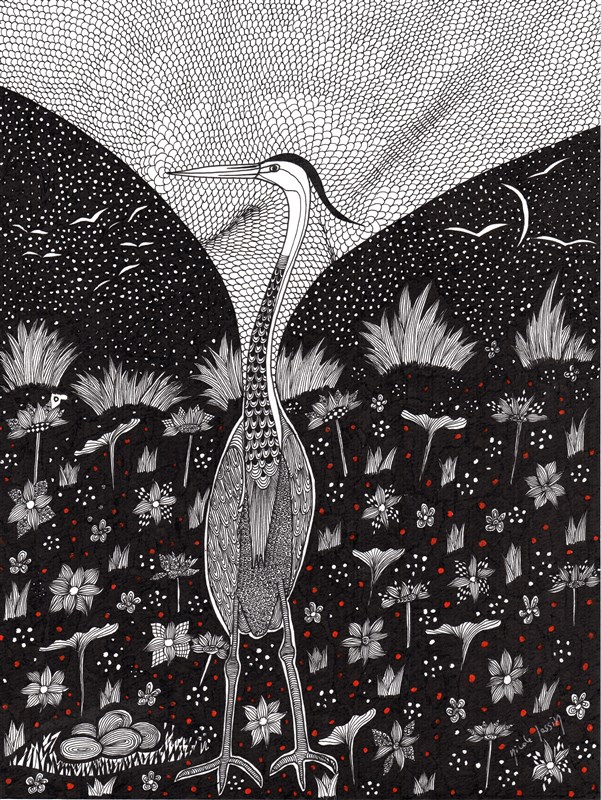 Le héron au long bec